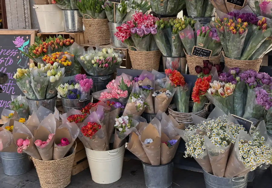 Belgravia’s Best Kept Secret