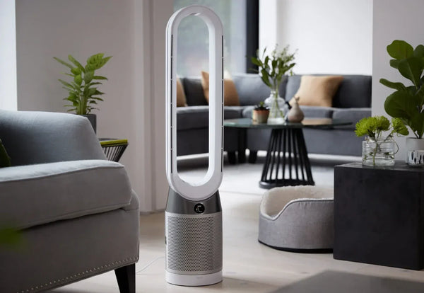Best Luxury Standing Fans