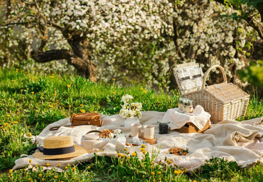 Picnic Blankets Reimagined