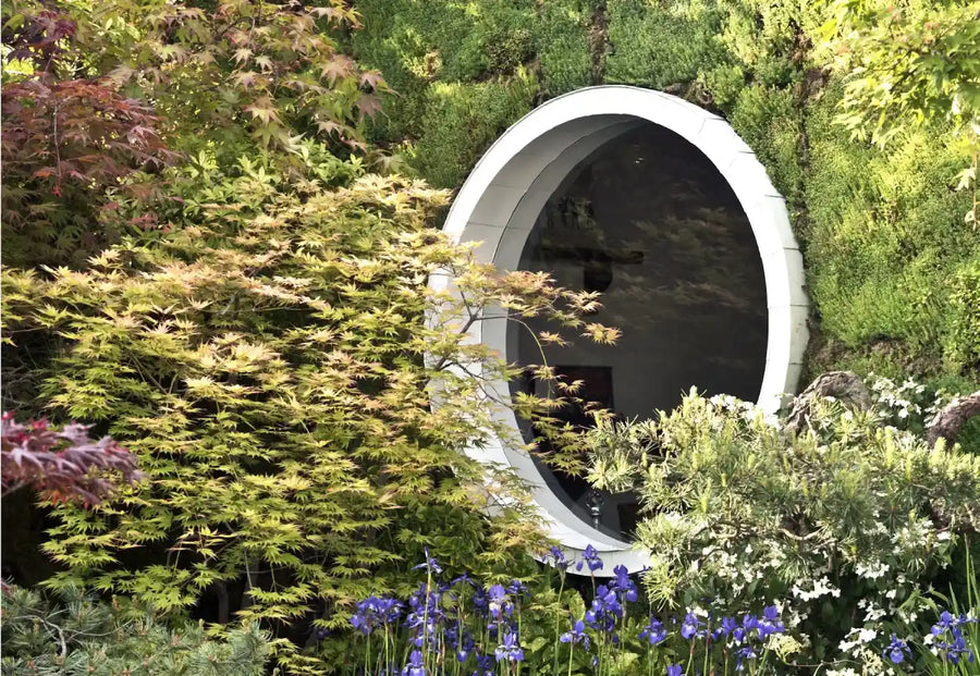 Sarah Eberle’s Return to the Chelsea Flower Show