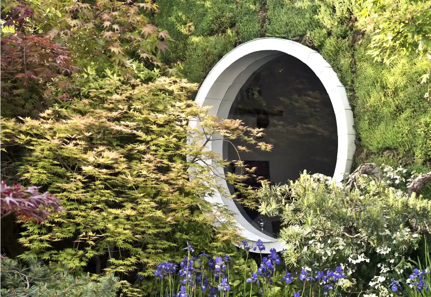 Sarah Eberle’s Return to the Chelsea Flower Show