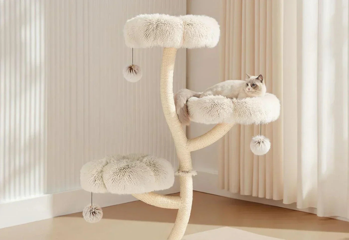 Luxury Cat Essentials