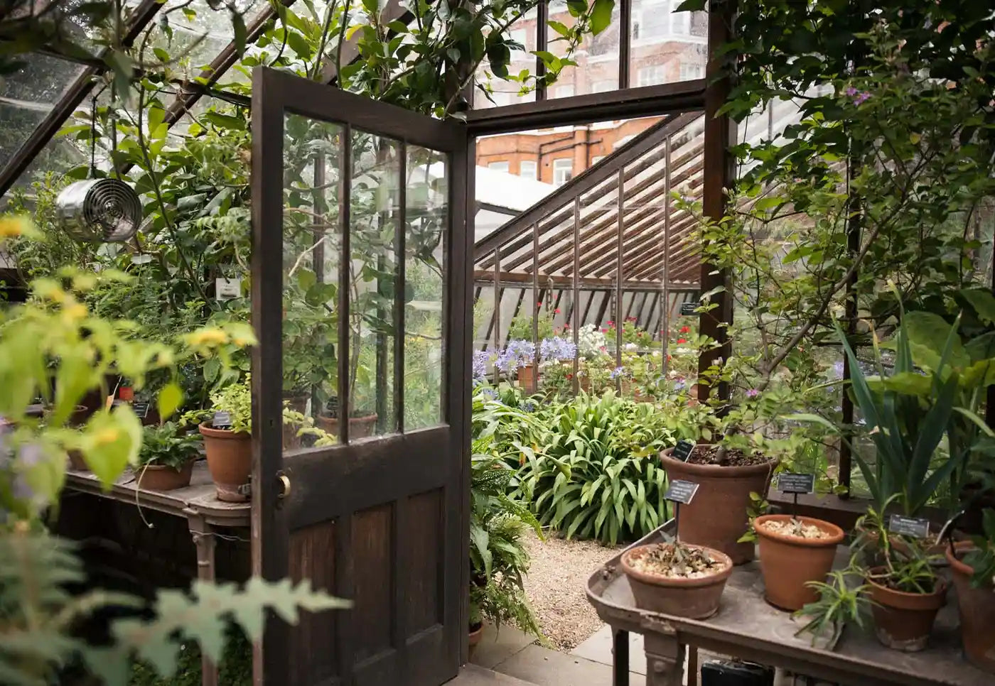 Magical Corners of London