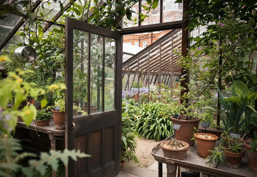 Magical Corners of London