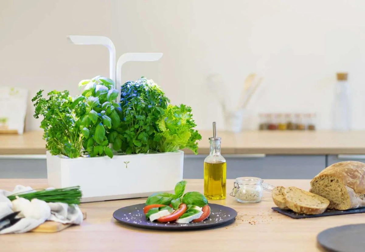 The Best Smart Indoor Gardens for Growing Fresh Herbs at Home
