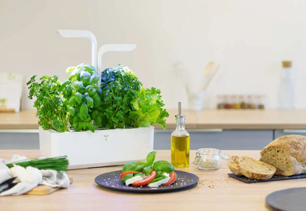 The Best Smart Indoor Gardens for Growing Fresh Herbs at Home