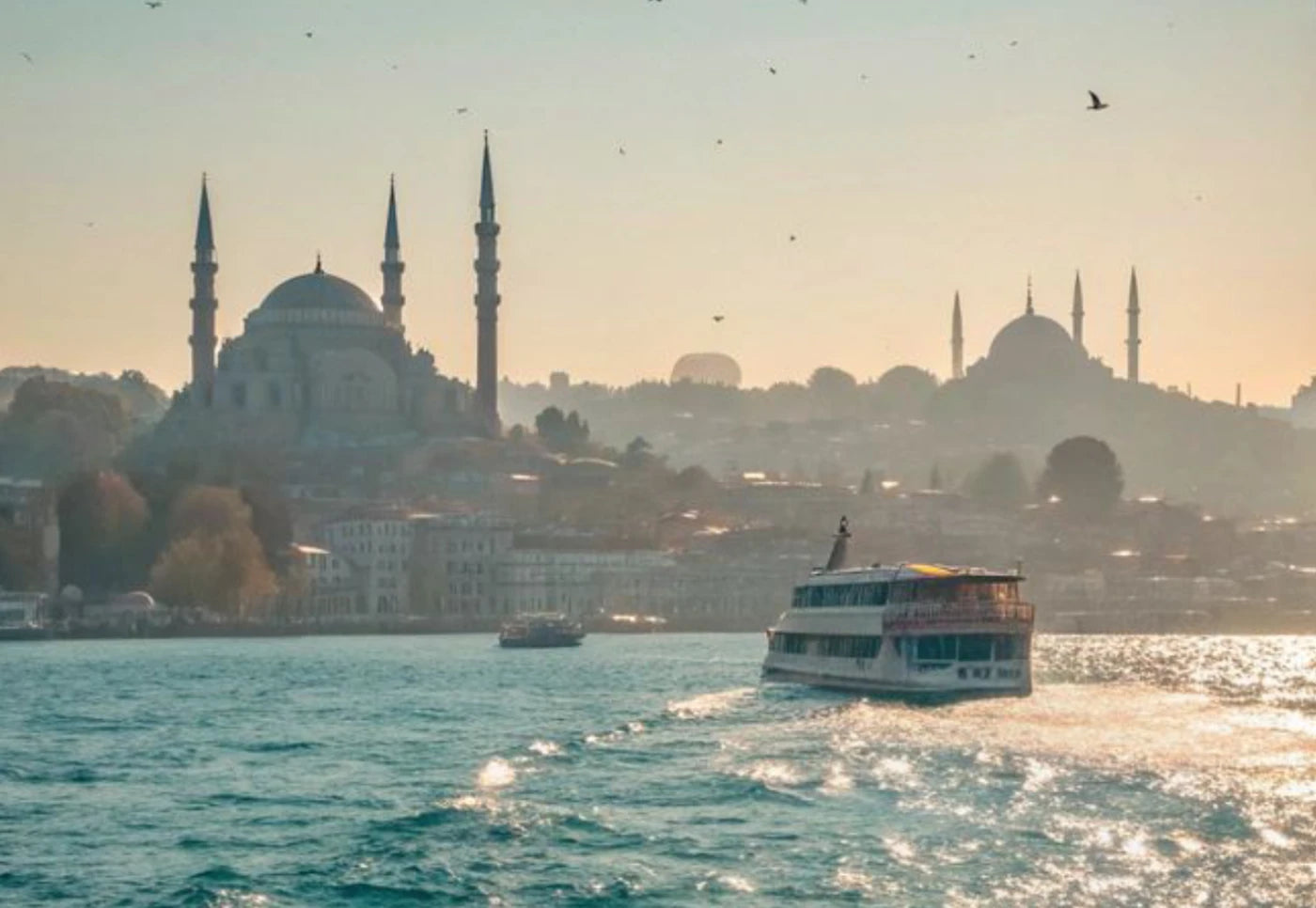 TPE Private Members' Event in Istanbul